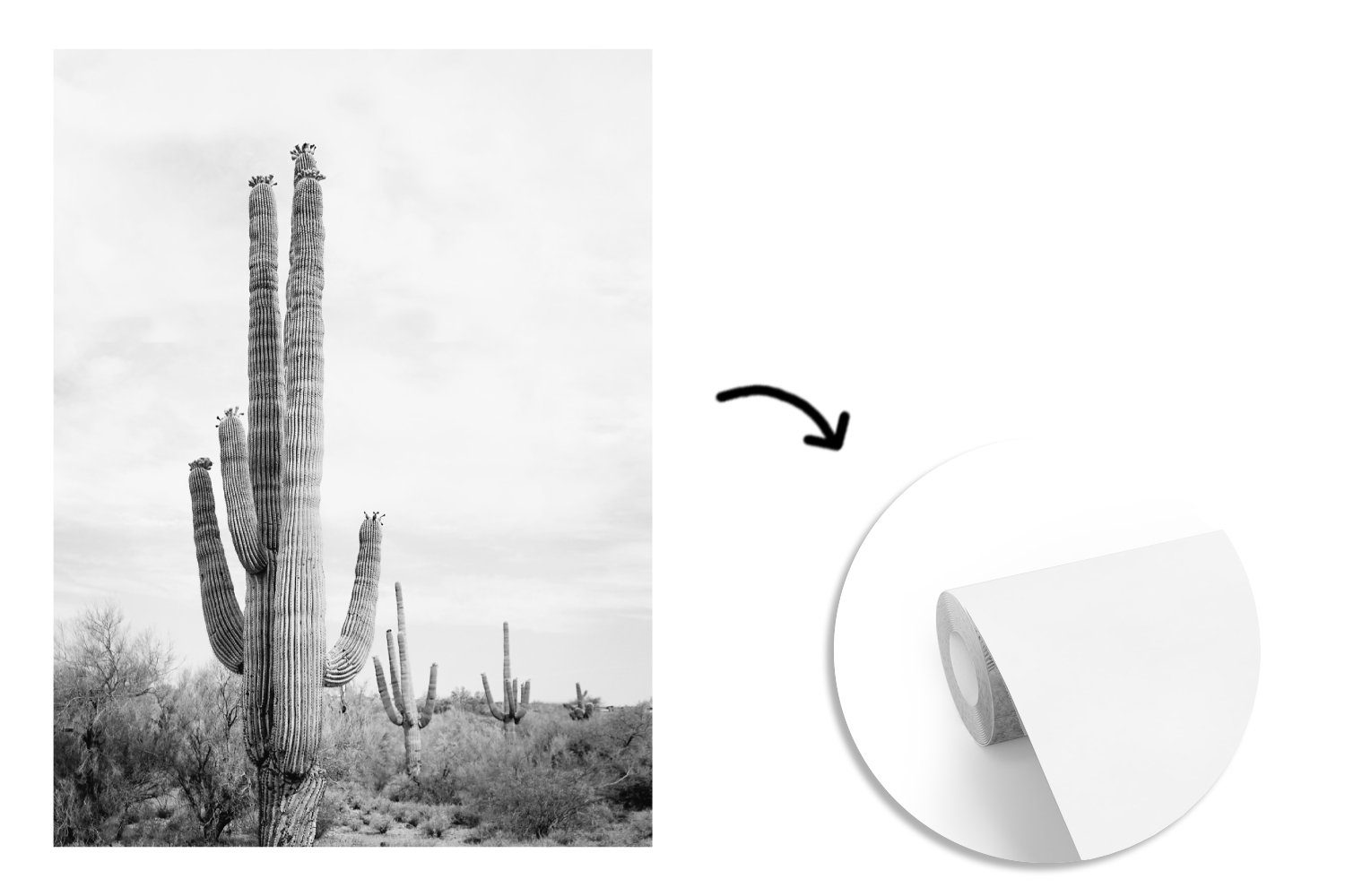 Kaktus - weiß (4 Schwarz Tapete Matt, Natur bedruckt, Vinyl MuchoWow - Montagefertig - für Wohnzimmer, Wandtapete Pflanzen, und Fototapete St),