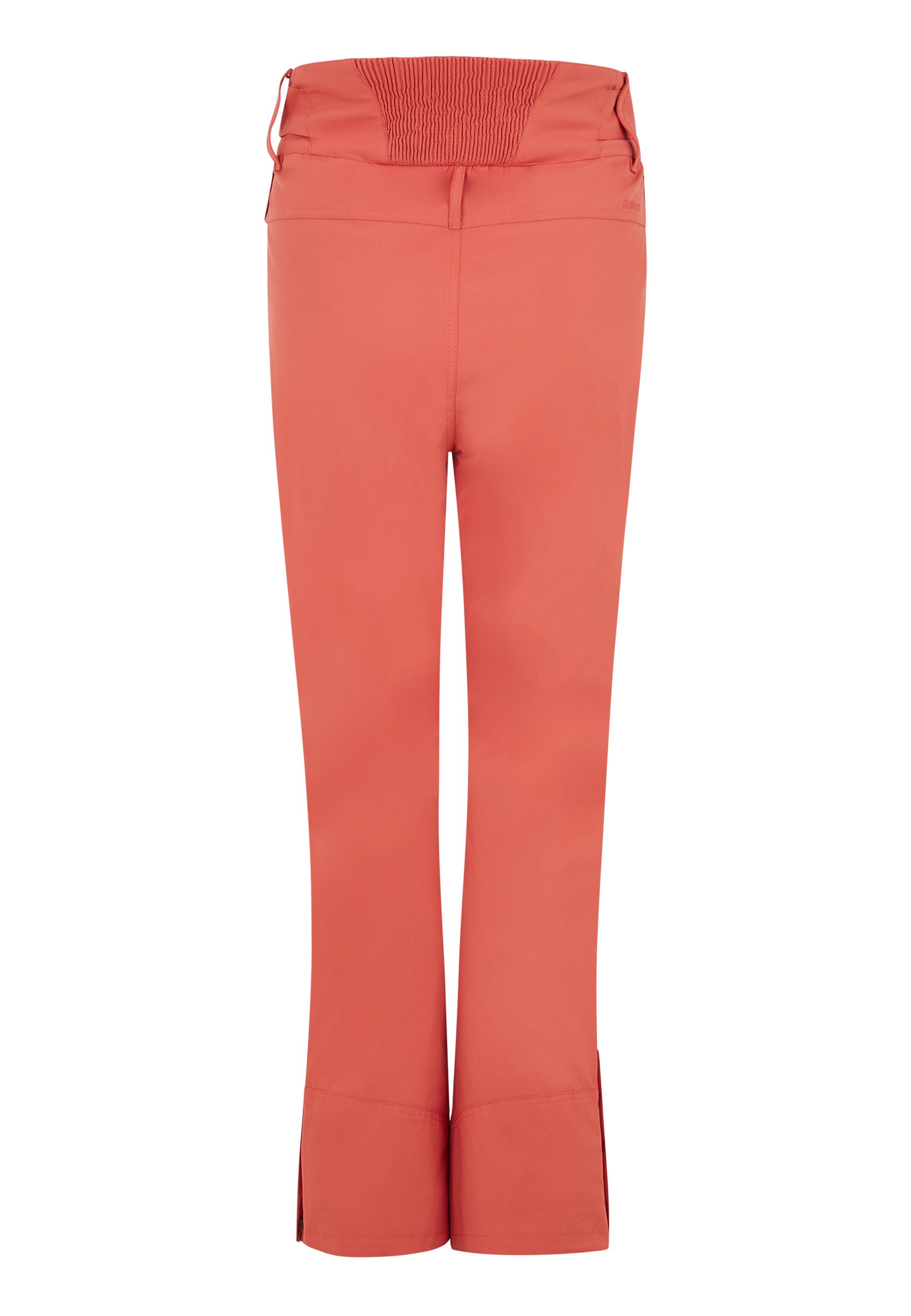 Protest Skihose CINNAMON (1-tlg)