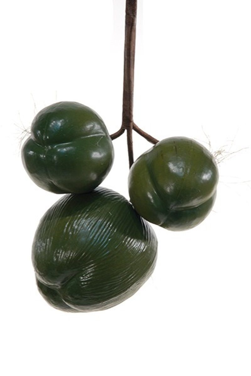 Kunstpflanze Deko Obst Kokosnüsse TIHANA, 3 Stück, grün, 30cm, Ø25cm Kokospalme, artplants, Höhe 30.0 cm