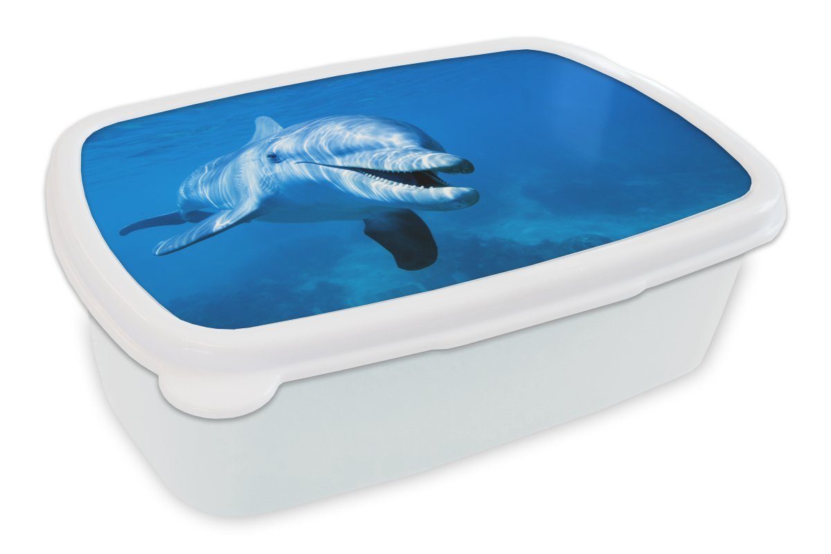 MuchoWow Lunchbox Delfin - Wasser - Meer, Kunststoff, (2-tlg), Brotbox für Kinder und Erwachsene, Brotdose, für Jungs und Mädchen weiß