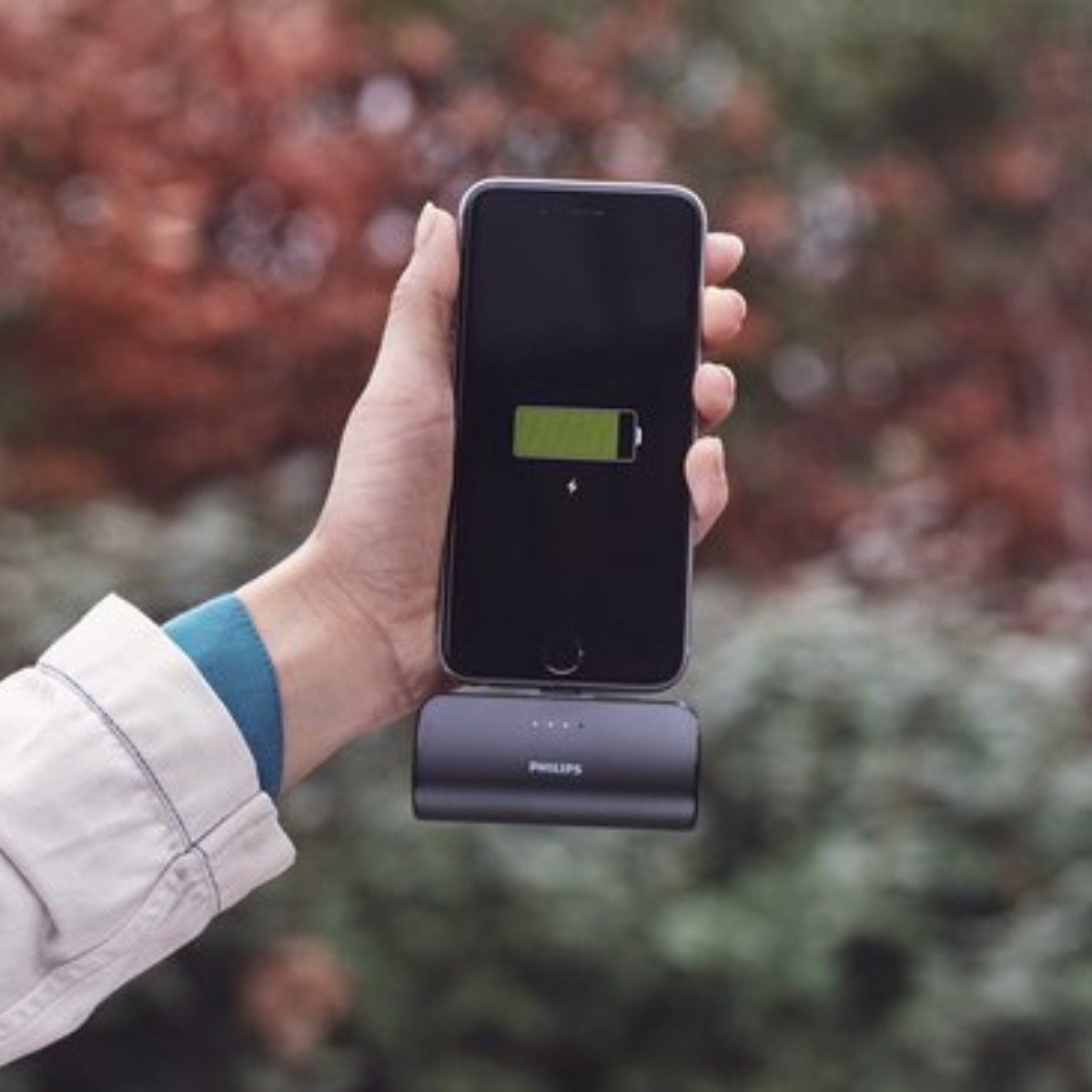 Philips Philips Powerbank Kabellos 2500mAh Powerbank