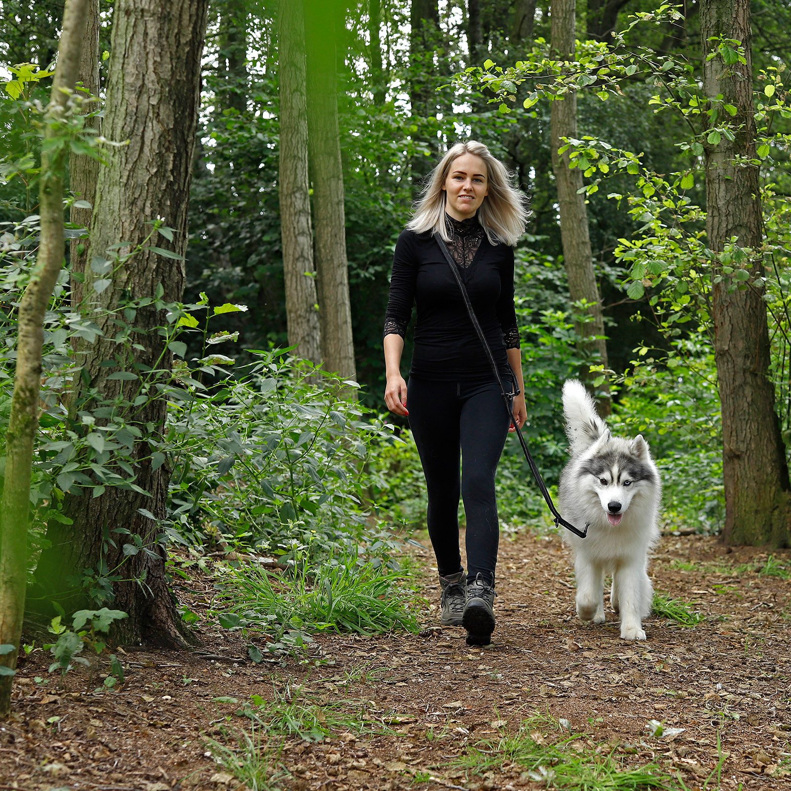 lionto Hundeleine 3-fach verstellbar, Multifunktionsleine 200 cm, Nylon (mit 2 Edelstahlkarabinern, 1-tlg., schwarz), reflektierend