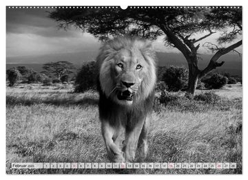 CALVENDO Wandkalender Wilde Tiere in schwarz-weiß (Premium, hochwertiger DIN A2 Wandkalender 2023, Kunstdruck in Hochglanz)