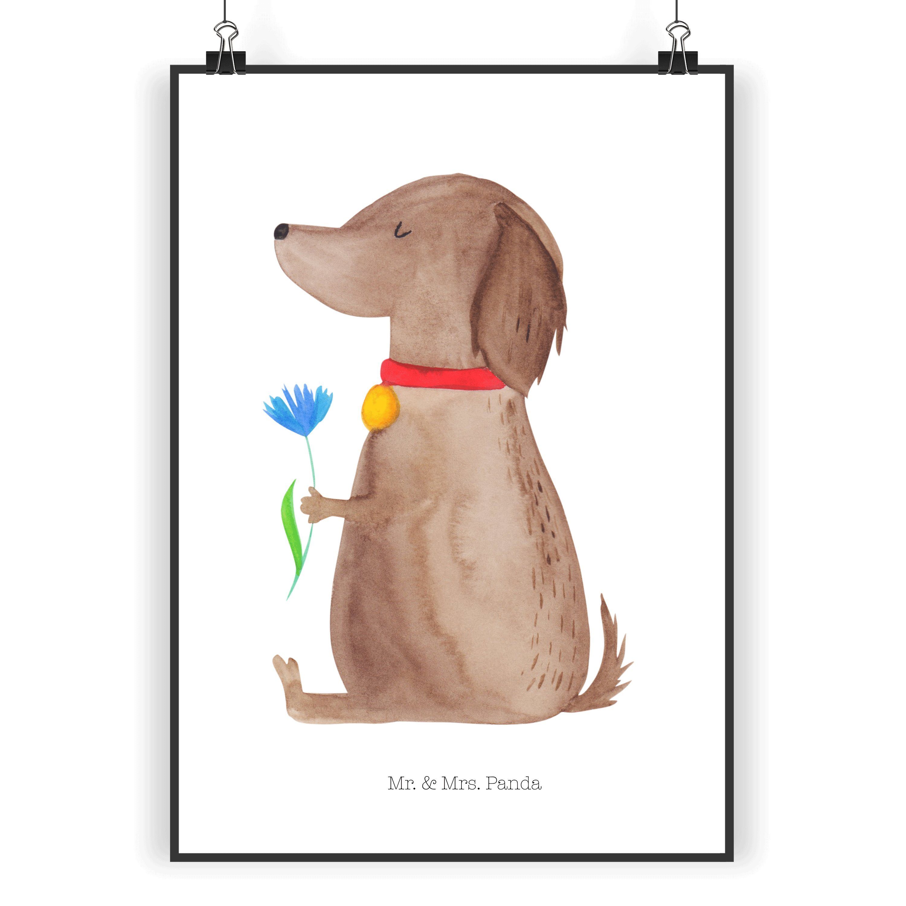 Poster DIN A5 Hund Blume - Weiß - Geschenk, Haustier, Hunde, Vierbeiner, Hun