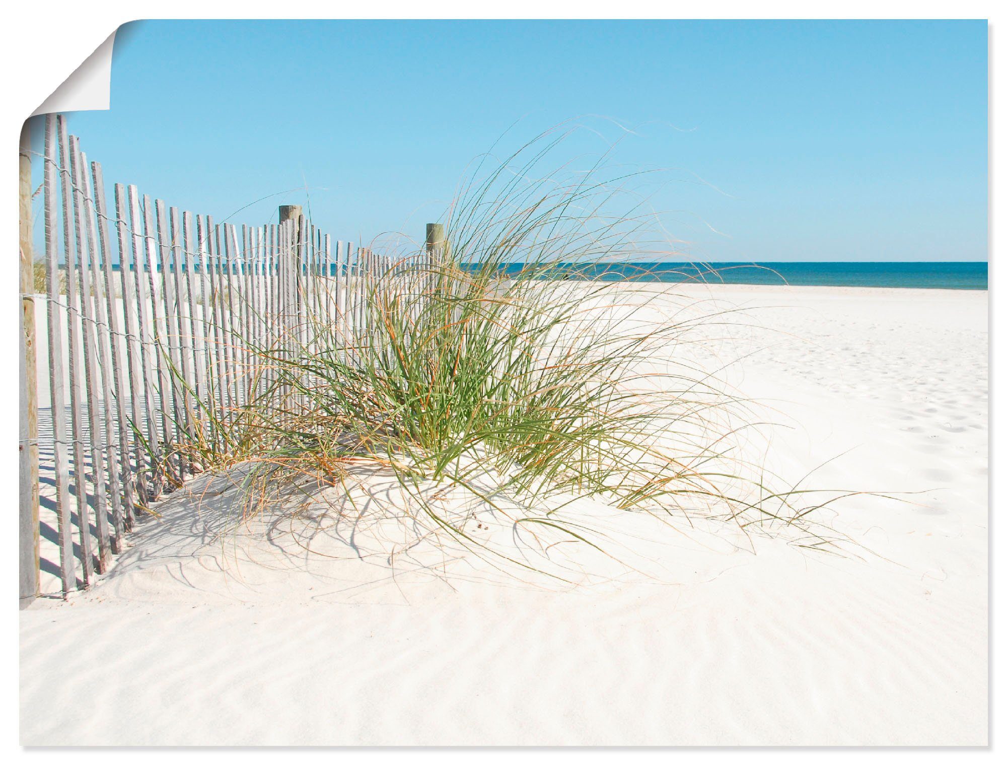 Artland Wandbild Schöne Sanddüne mit Gräsern günstig online kaufen