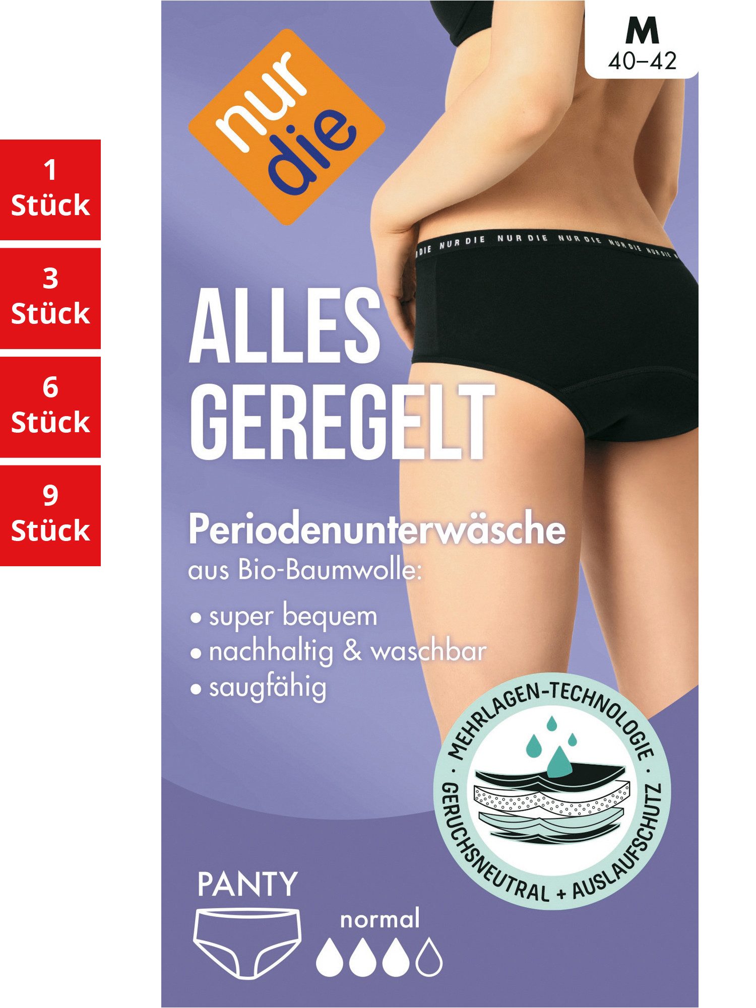 Nur Die Panty Periodenunterwäsche Alles Geregelt Damen (1er/3er/6er/9er Pack, 1-St) Panty unter-hose unter-wäsche