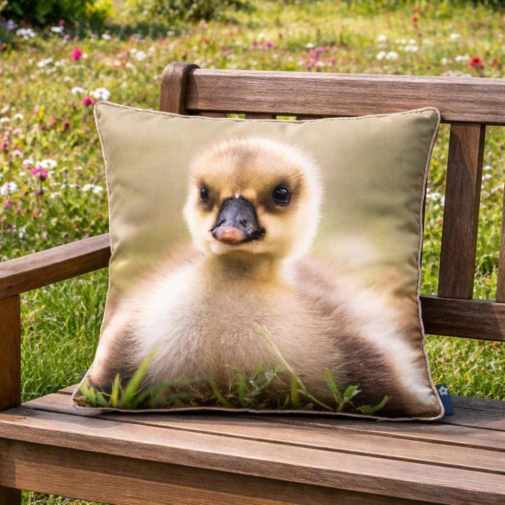 PICHLER Kissenhülle Kissenhülle Entlein 40 x 40 cm