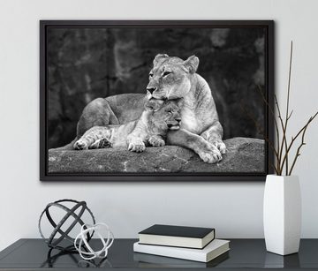 Pixxprint Leinwandbild Löwe Löwenjungen, Wanddekoration (1 St), Leinwandbild fertig bespannt, in einem Schattenfugen-Bilderrahmen gefasst, inkl. Zackenaufhänger