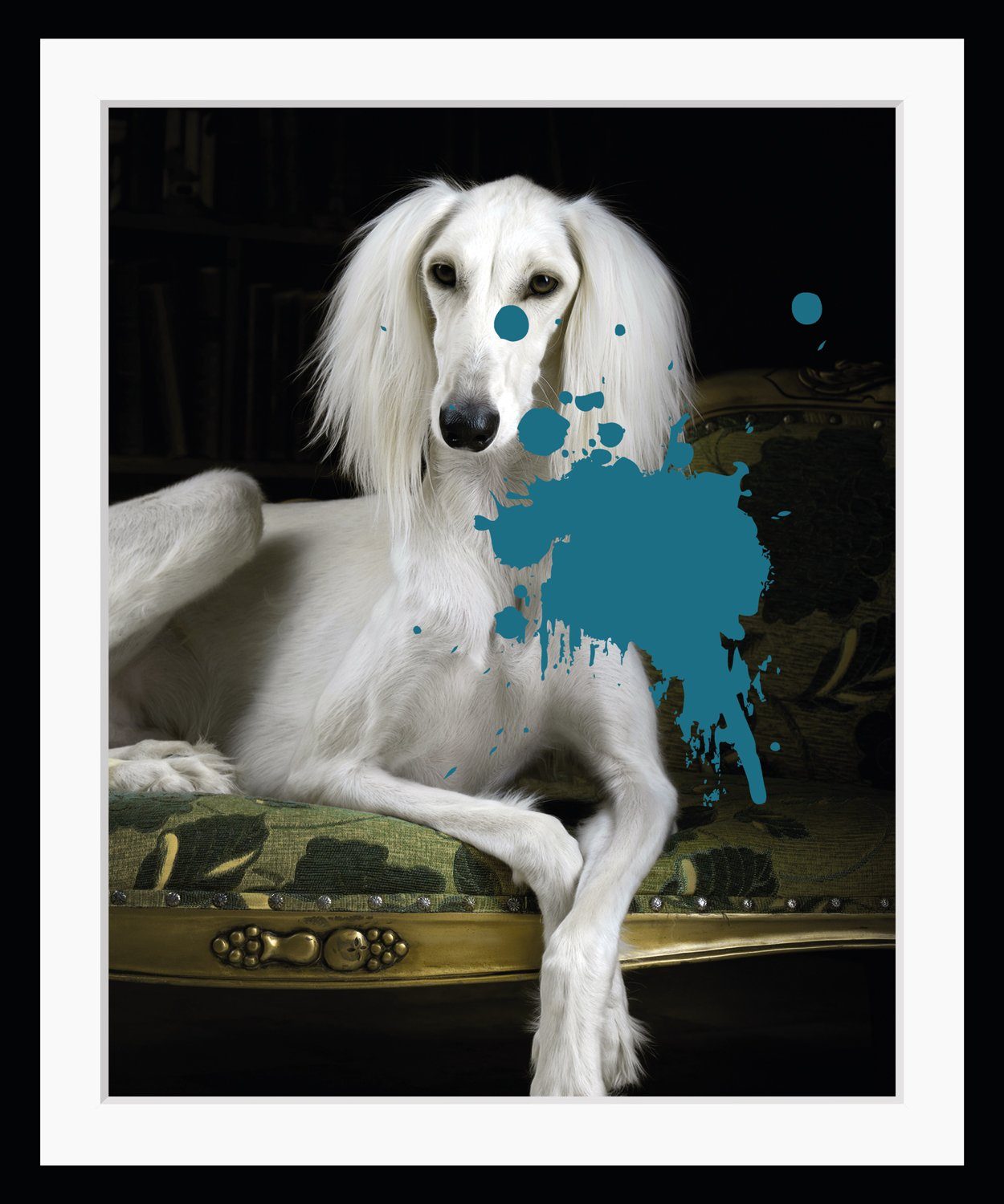 queence Bild Hund mit Farbklecks, Haustiere, Humor, Hund, Hunde, Hundebilder, HD Premium Плакат-Druck inkl. Holzrahmen