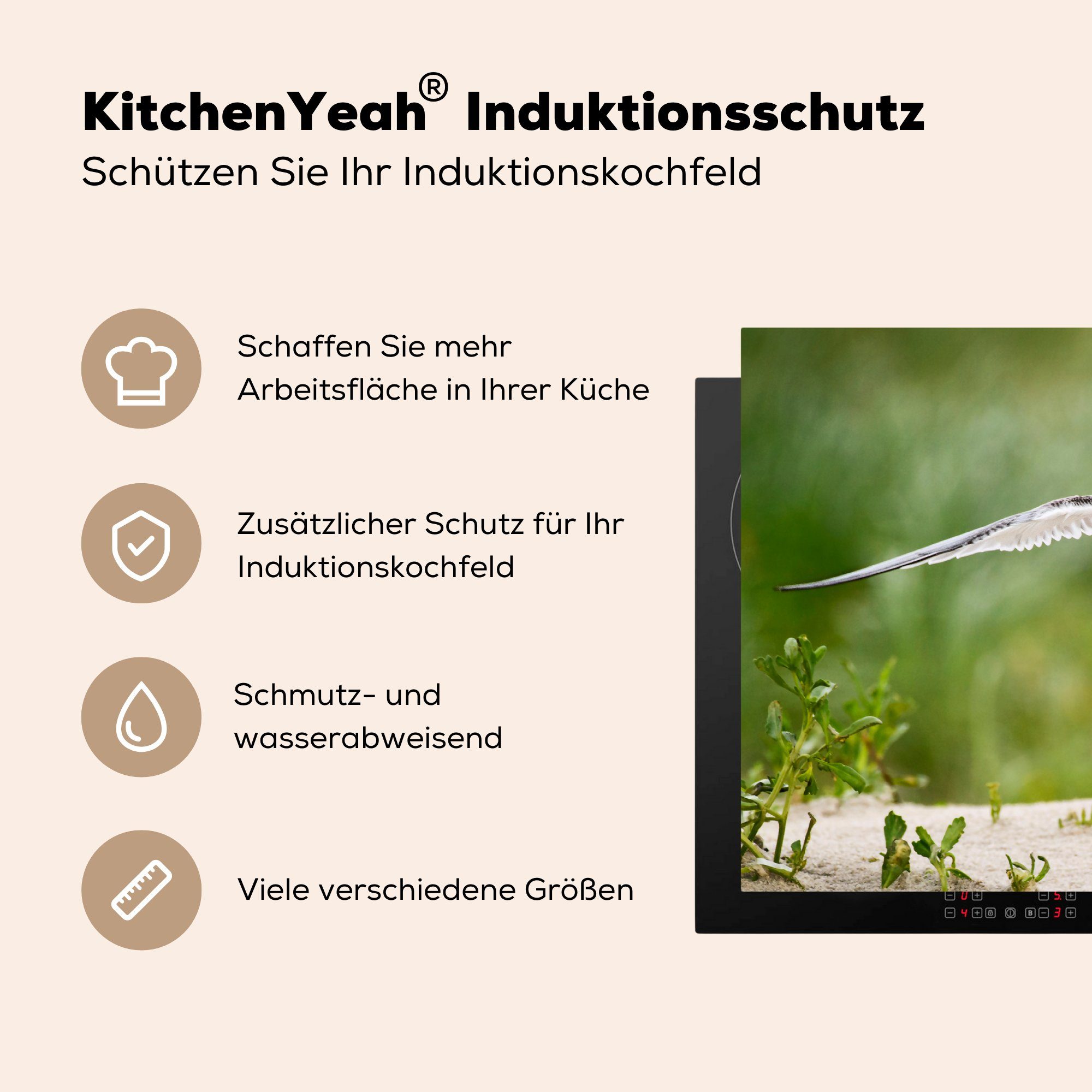 MuchoWow Herdblende-/Abdeckplatte Vogel - Sand tlg), küche für Arbeitsplatte - 83x51 Vinyl, Ceranfeldabdeckung, Pflanzen, cm, (1