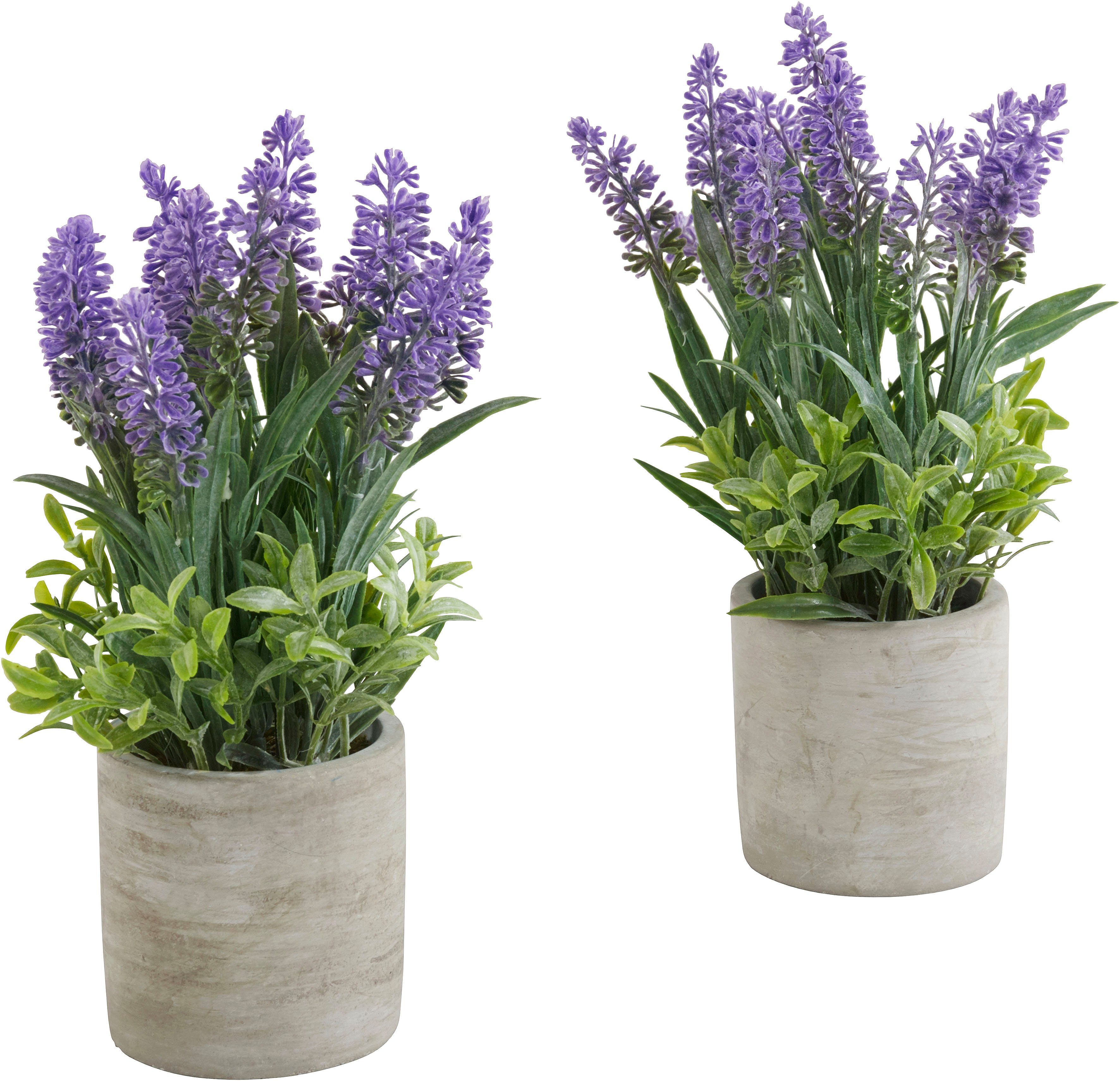 Künstliche Lavendel-Pflanze Im Verzinkten Topf – 25,4 Cm Hoch, Lila Mit Gänseblümchen