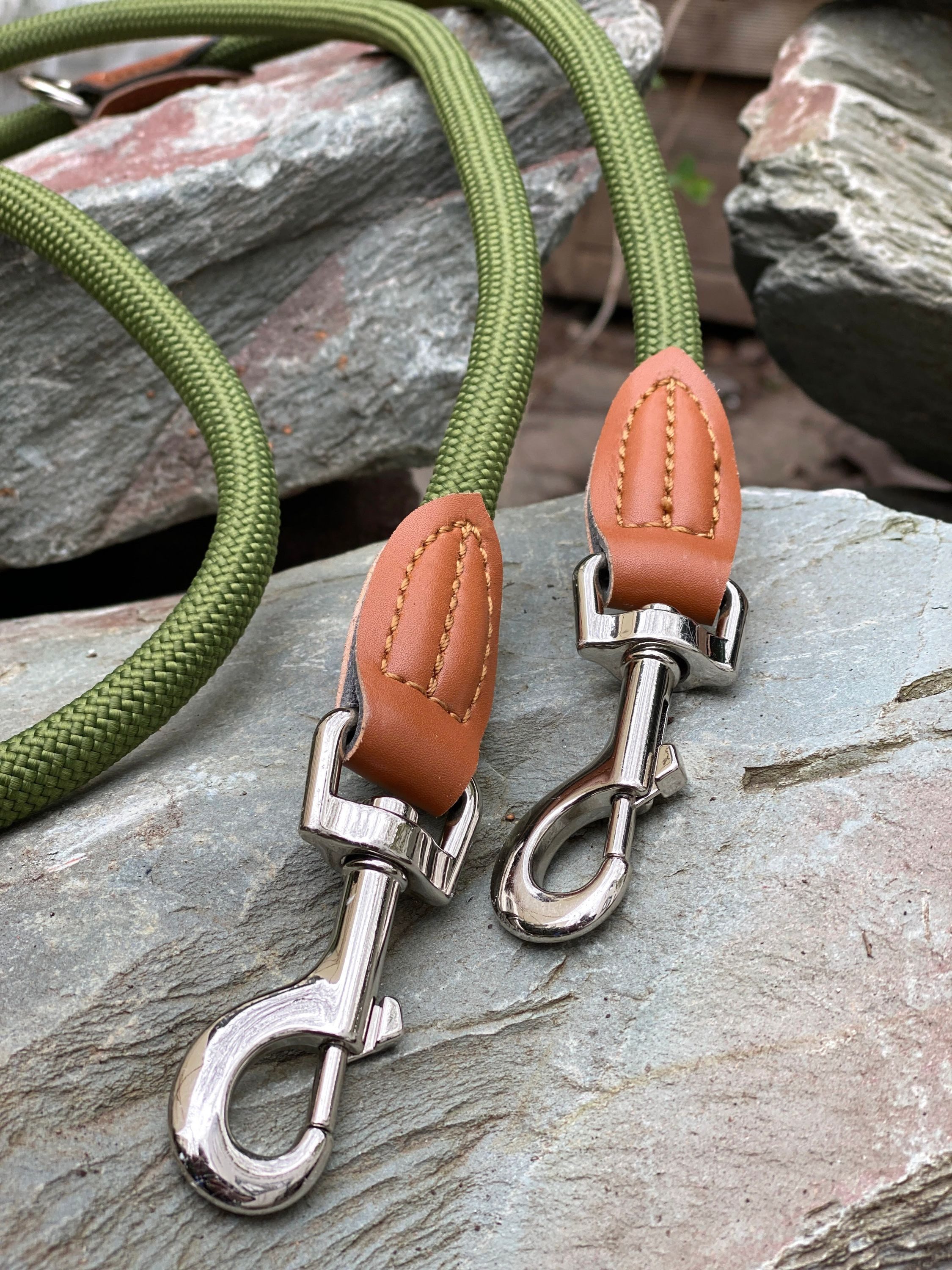 Leisegrün Hundeleine Hundeleine für kleine Hunde, 4-fach verstellbar mit 2 Karabiner, 3 m, Nylon