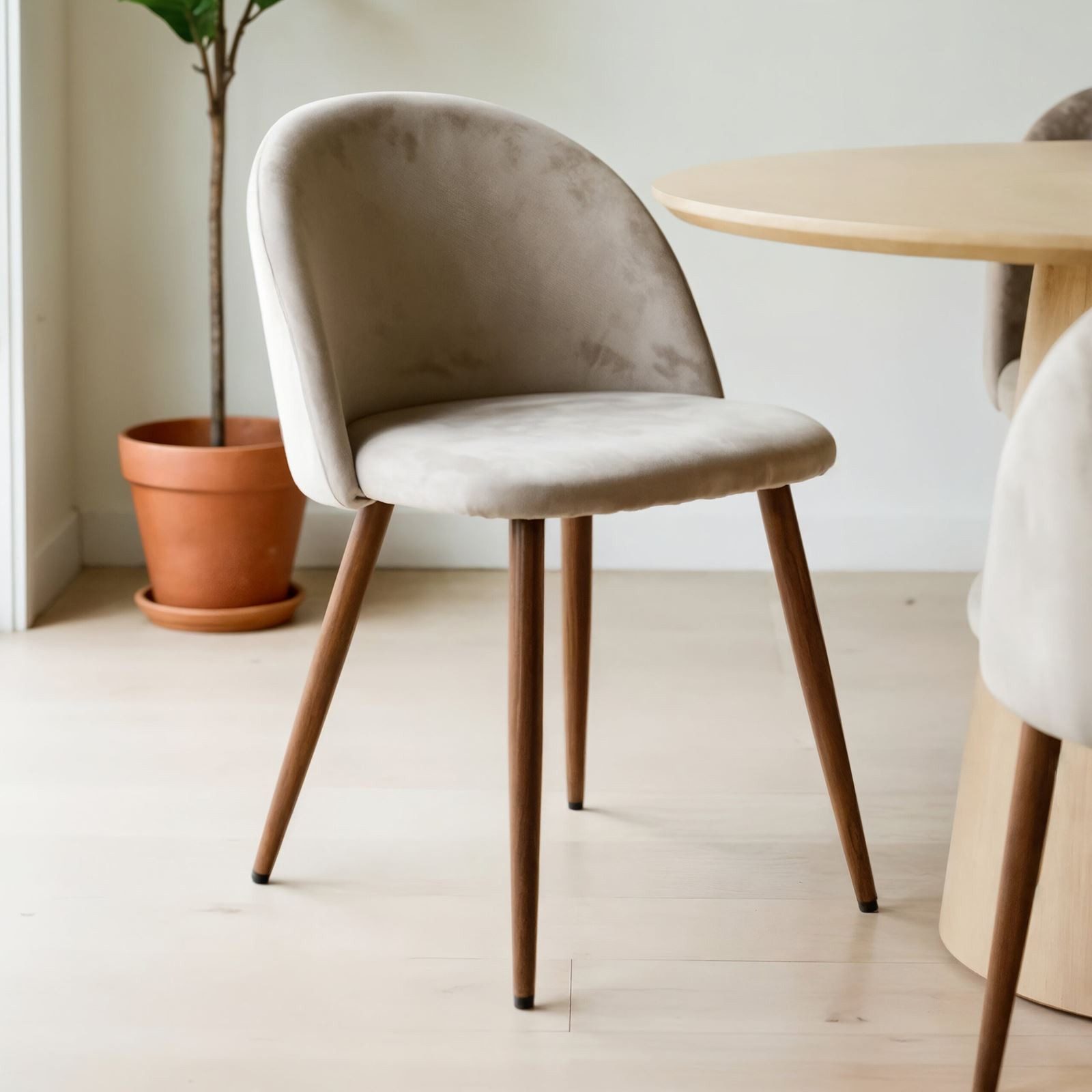 IDIMEX Esszimmerstuhl NAVIA (2 St), Esszimmerstühle 2er Set mit Veloursbezug Hellgrau