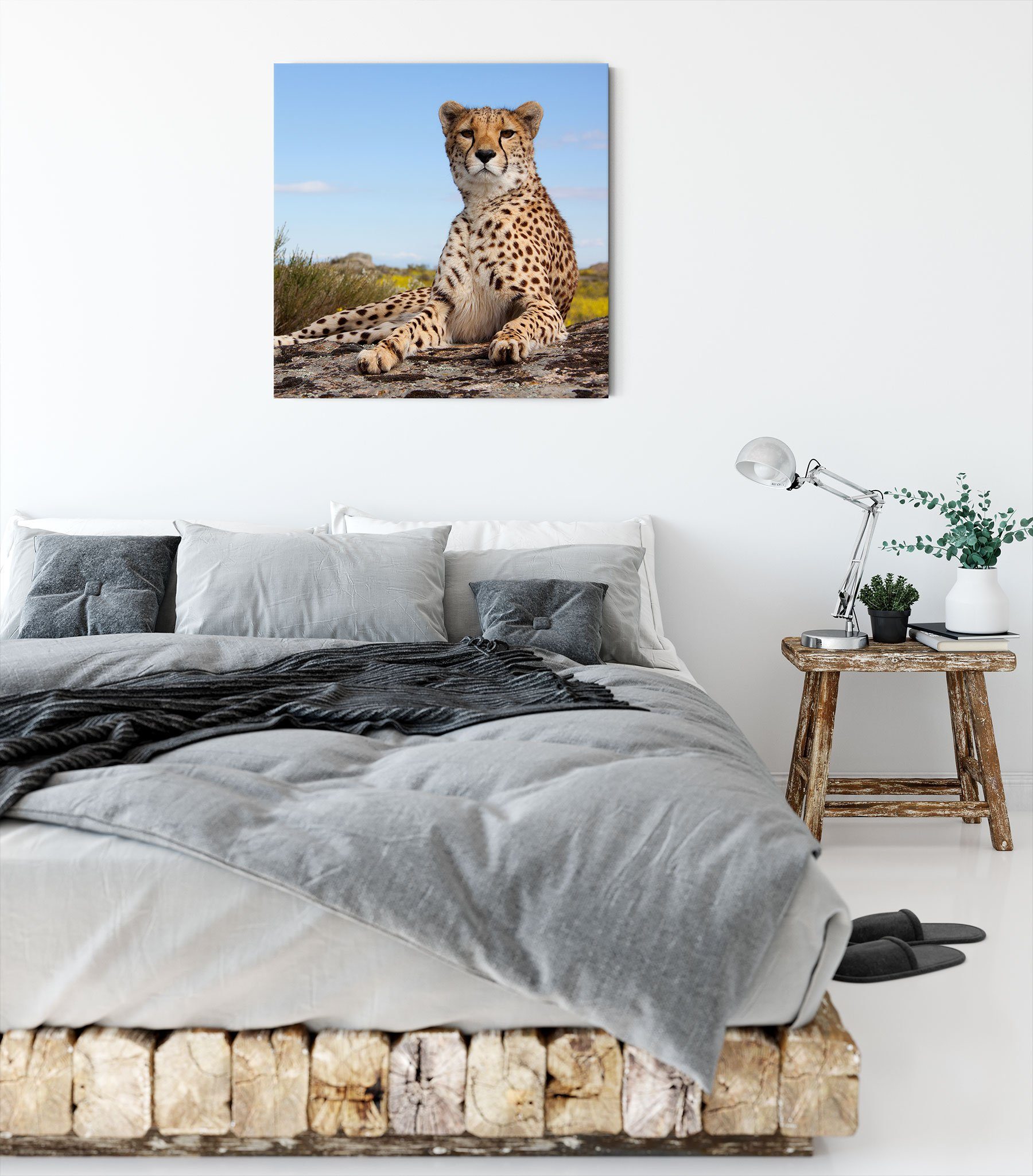 Leinwandbild (1 Pixxprint inkl. Savanne in Gepard in bespannt, Savanne, Leinwandbild Gepard Zackenaufhänger St), fertig