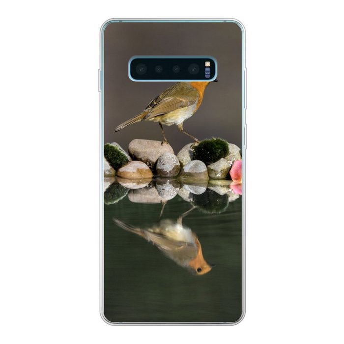 MuchoWow Handyhülle Steine - Rotkehlchen - Wasser Phone Case Handyhülle Samsung Galaxy S10+ Silikon Schutzhülle