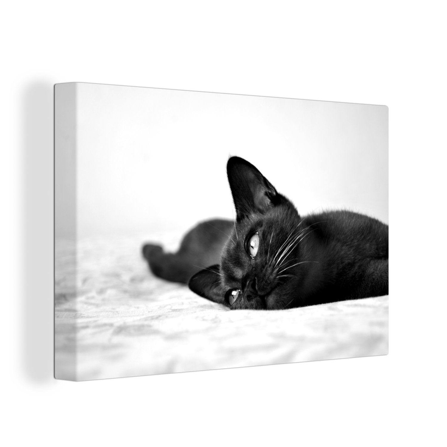 OneMillionCanvasses® Leinwandbild Burmakatze auf einer Decke liegend - schwarz und weiß, (1 St), Wandbild Leinwandbilder, Aufhängefertig, Wanddeko, 30x20 cm