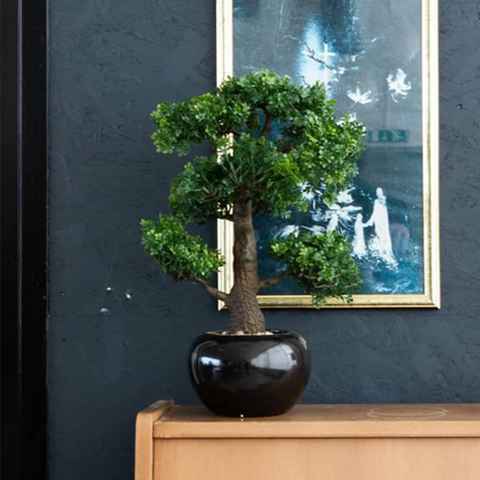 Kunstrasen Kunstpflanze Bonsai Ficus Grün 47 cm 420006, Emerald, Höhe: 47 mm