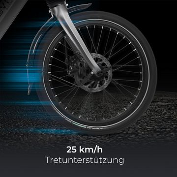 AsVIVA E-Bike B13SF_ABW_G, 6 Gang, starker Hinterradmotor, Akku vollintegriert, sehr tiefer Einstieg