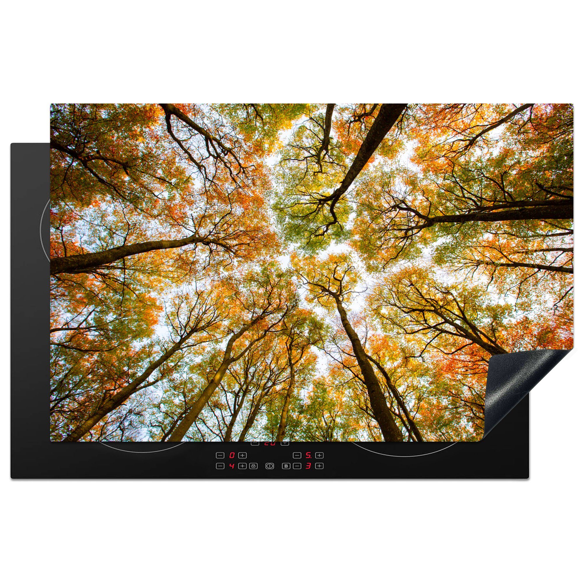 die Ceranfeldabdeckung Schutz Herdblende-/Abdeckplatte 81x52 Vinyl, - für Wald Bäume Herbst, MuchoWow cm, Induktionskochfeld (1 tlg), - küche,