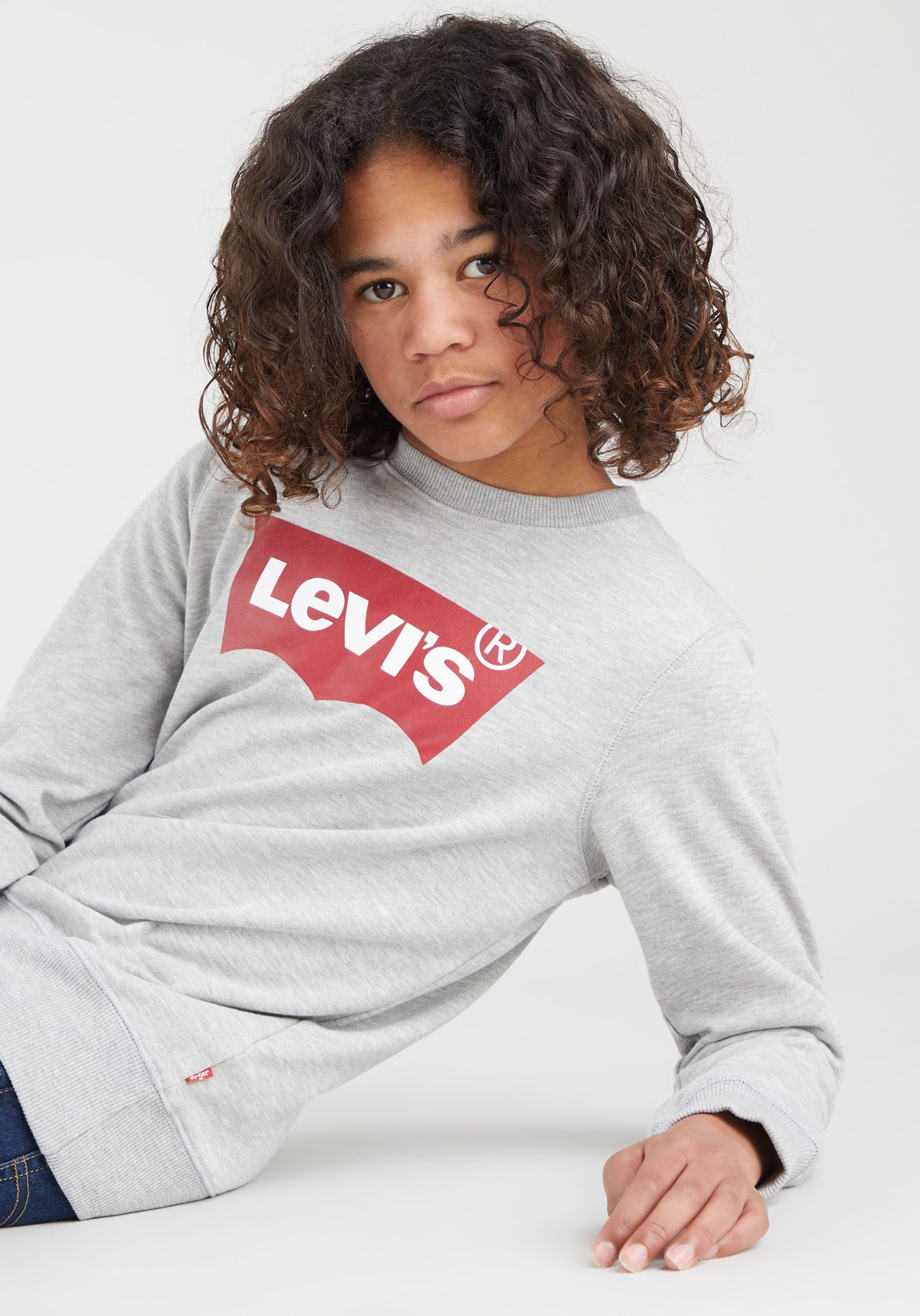 Levi's® Kids Sweatshirt LVB LVB FRENCH TERRY BATWING mit großem Logo