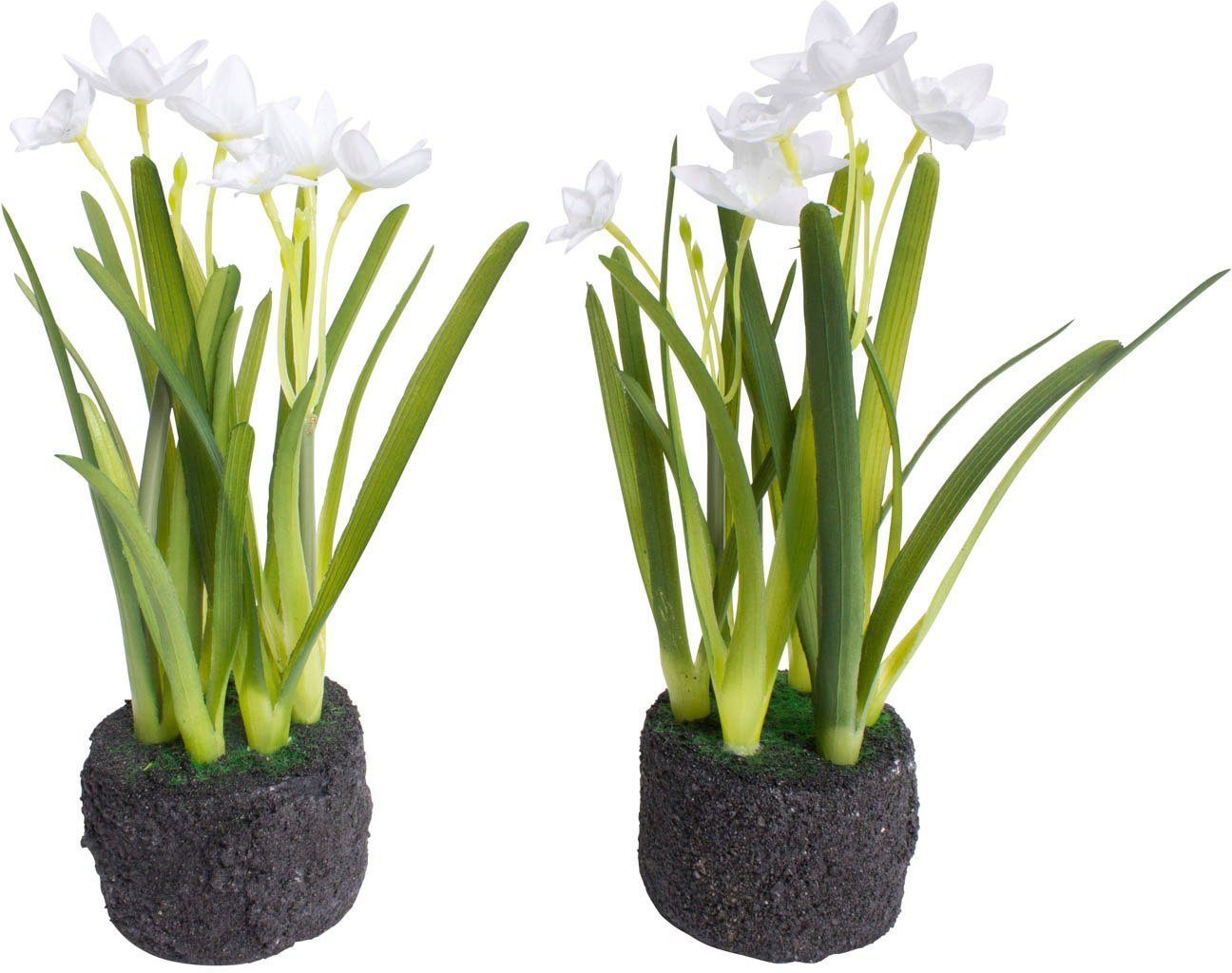 Kunstblume Narzissen Arrangement im Erdballen, Botanic-Haus, Höhe 22 cm. € 10,95