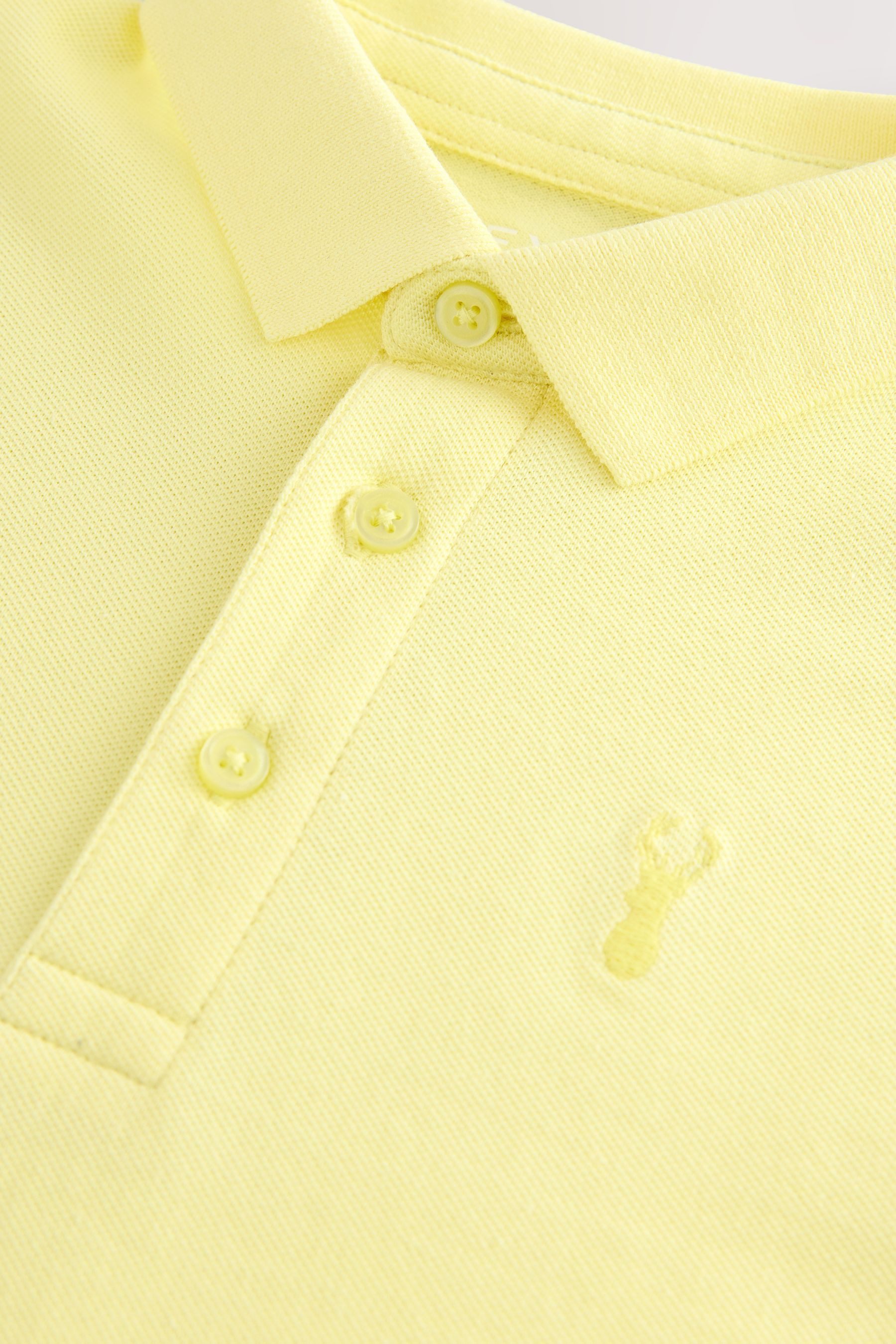 Next Poloshirt Kurzärmeliges Polo-Shirt (1-tlg)