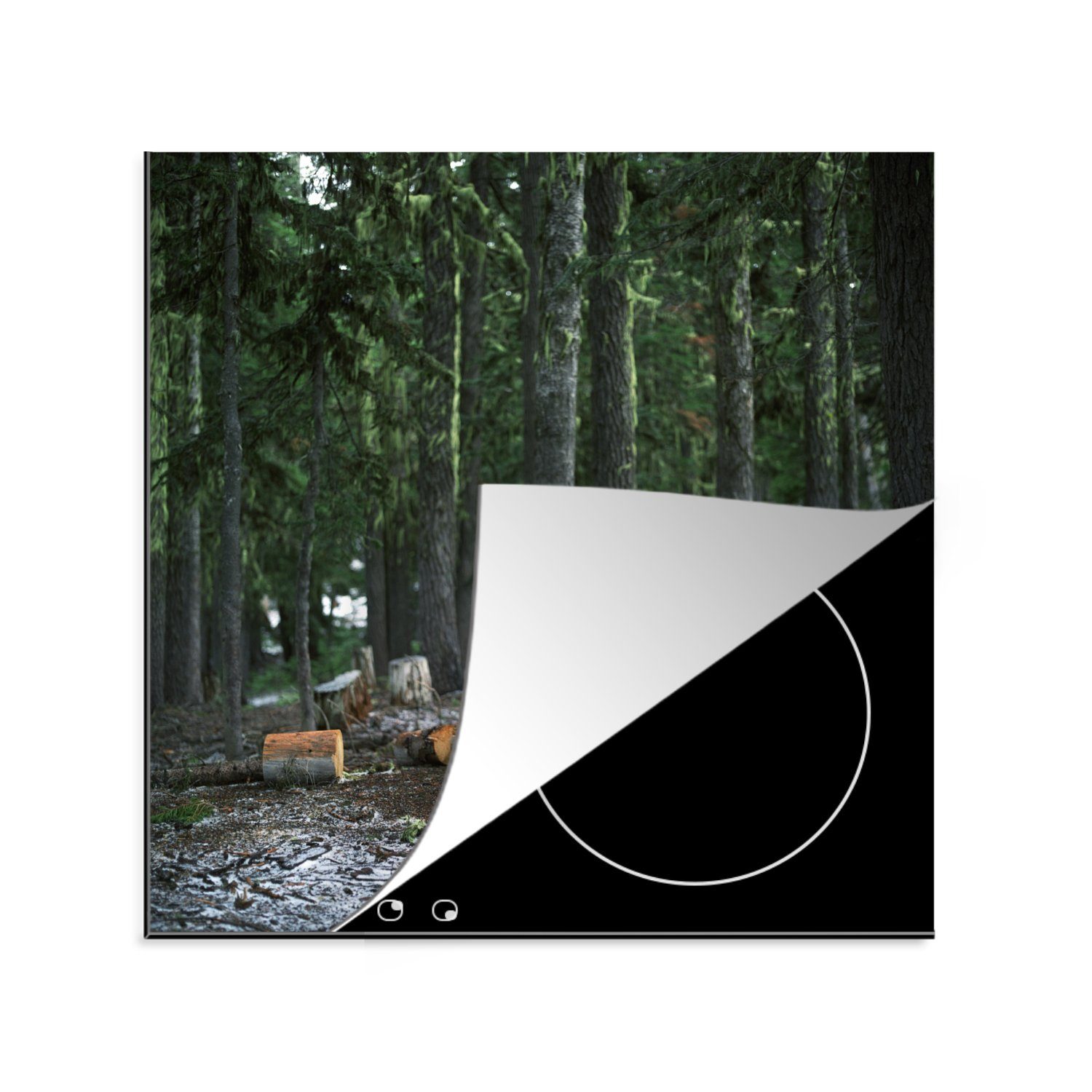 MuchoWow Herdblende-/Abdeckplatte Mehrere kürzlich gefällte Baumstämme in einem Wald, Vinyl, (1 tlg), 78x78 cm, Ceranfeldabdeckung, Arbeitsplatte für küche