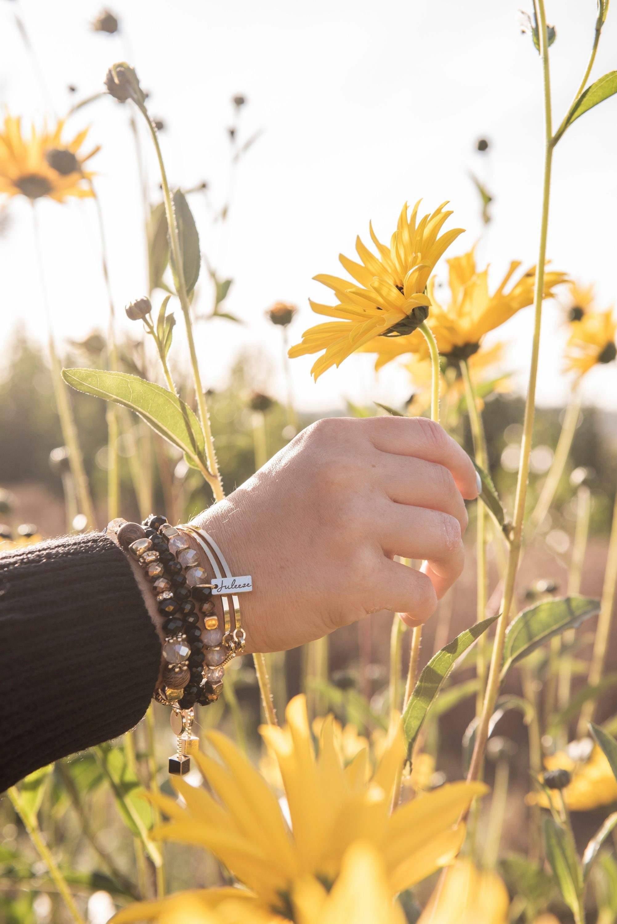 Clayre & Eef Wandbild, Sprüche, Vintage Retro Holzschild und Kreidetafel COUNTDOWN Holidays Ho