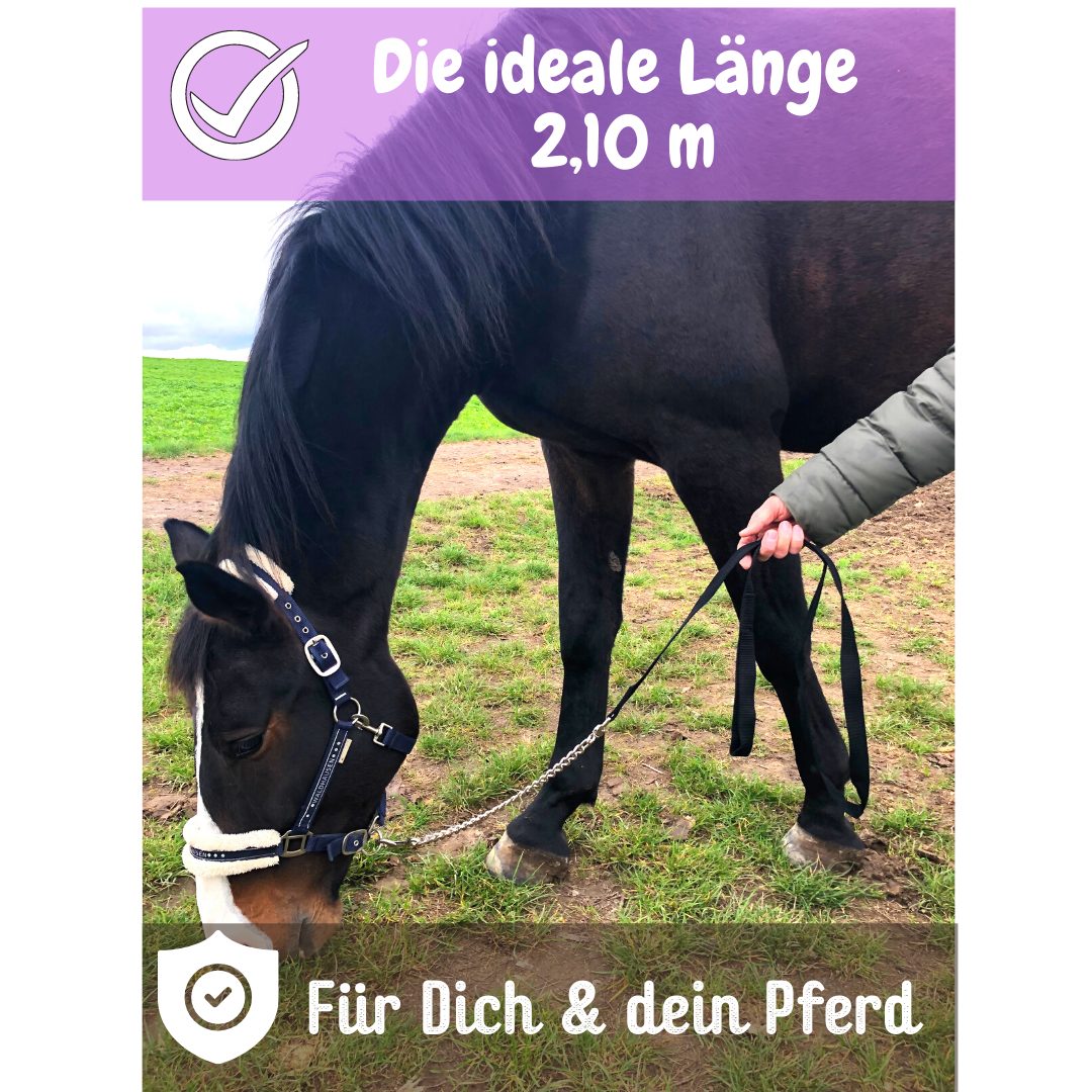 Pferdelinis Anbinde- / Führstrick Führkette Pferde Eisenkette Handgriff Führleine Pony Länge 2,10 m, Länge 210cm