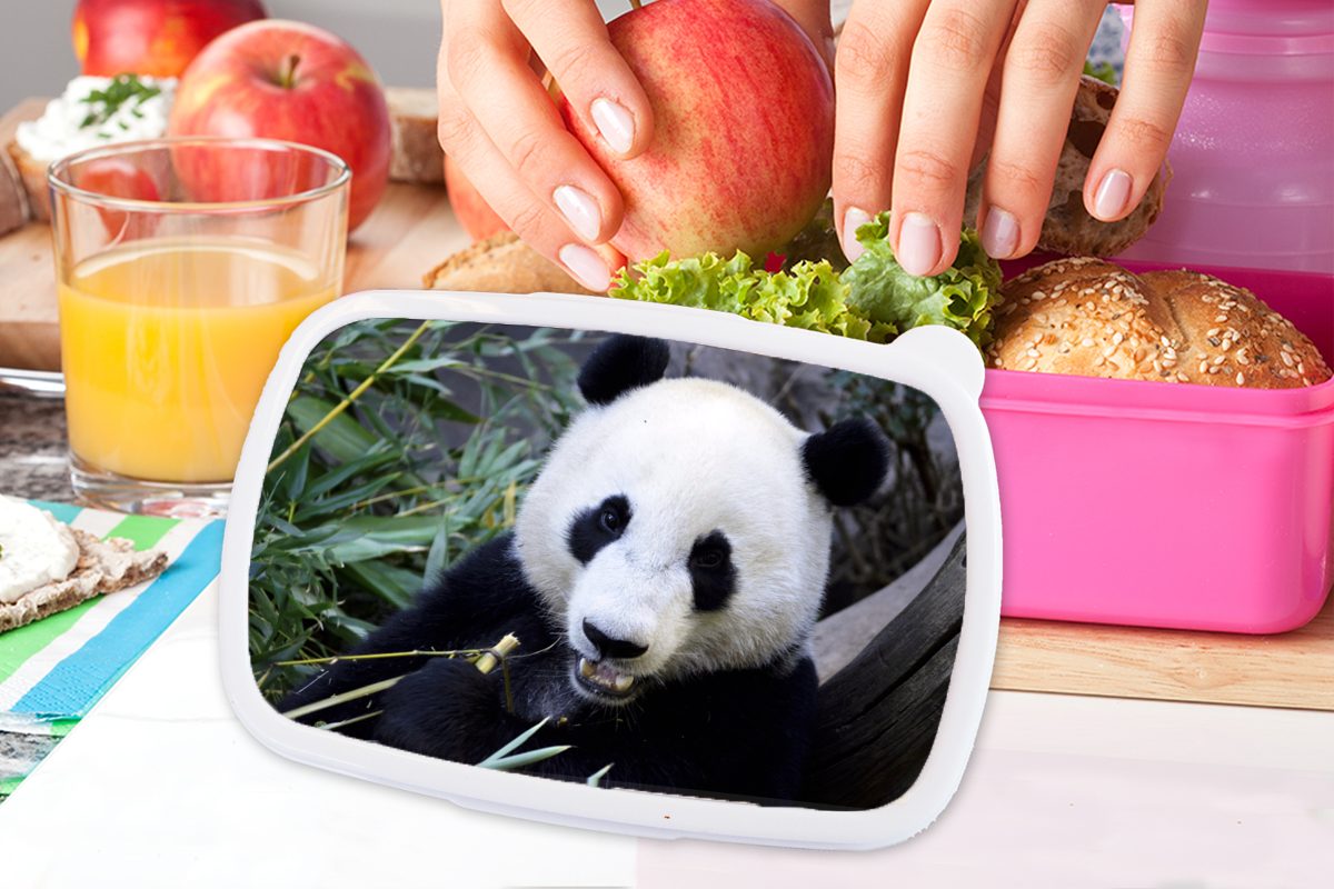 (2-tlg), MuchoWow Erwachsene, Panda Mädchen, rosa Blätter, Kunststoff Snackbox, - Kunststoff, für Brotdose - Tier Lunchbox Brotbox Kinder,