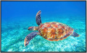 Papermoon Infrarotheizung Große grüne Meeresschildkröte, sehr angenehme Strahlungswärme