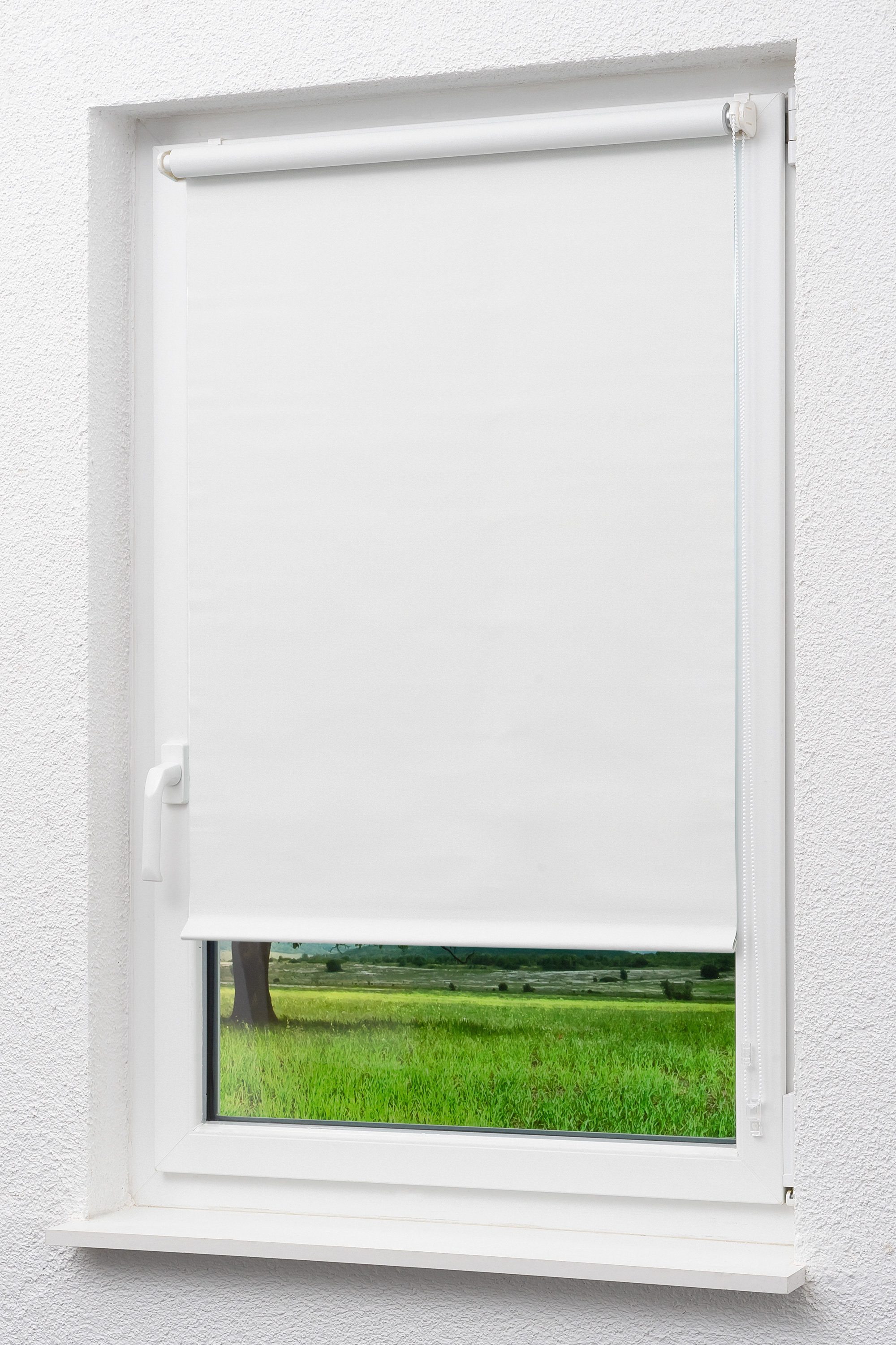 Verdunklungsrollo Mini Rollo abdunkelnd Reinweiß, LYSEL®, günstig online kaufen