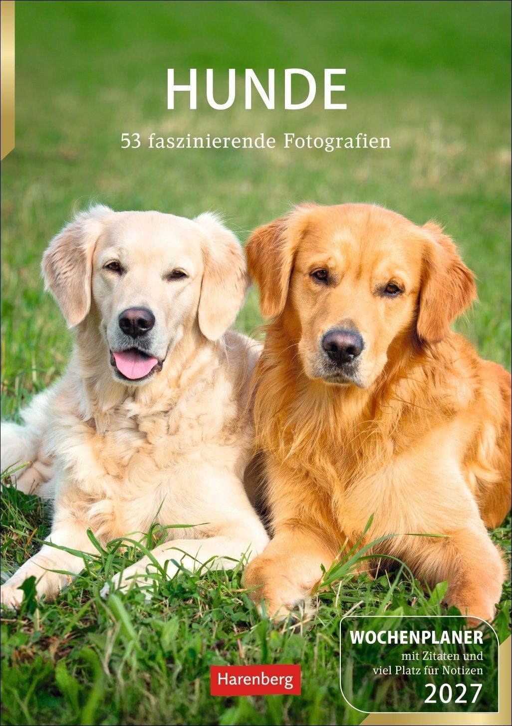 Tischkalender Hunde Wochenplaner 2027 - 53 faszinierende Fotografien Ganz viel Hunde