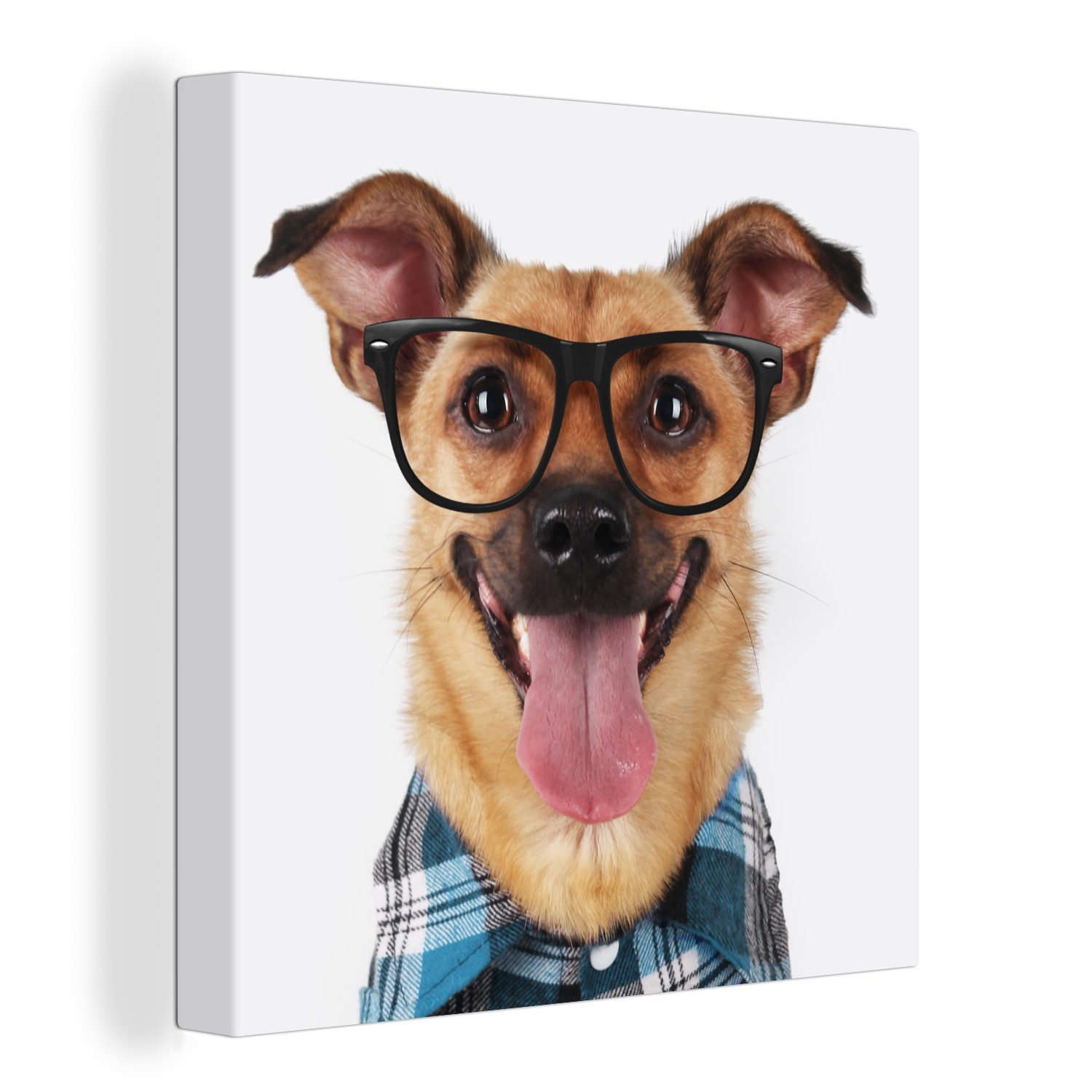 OneMillionCanvasses® Leinwandbild Bluse Hipster, Schlafzimmer Wohnzimmer (1 - Leinwand - - Hund Brille St), Bilder für