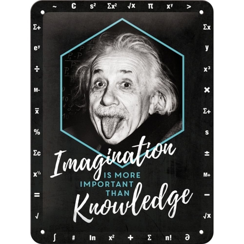 Metallschild Blechschild 15x20 cm - Einstein - Imagination & Knowledge