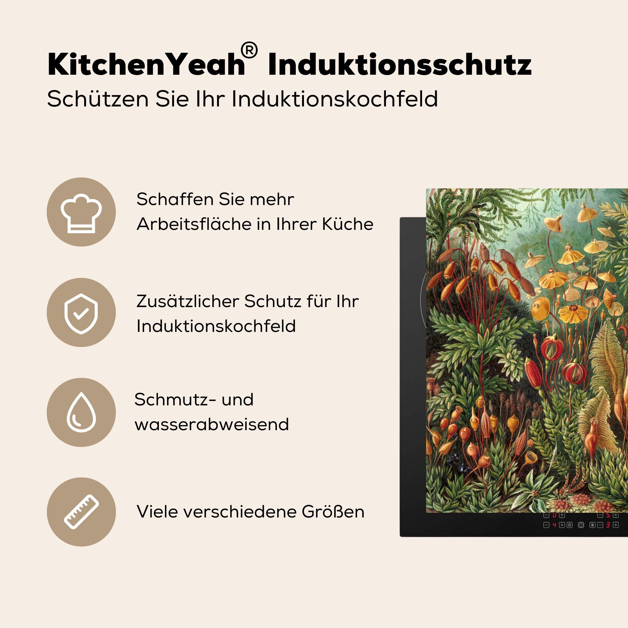 78x78 tlg), Vinyl, cm, Arbeitsplatte Herdblende-/Abdeckplatte Haeckel MuchoWow Meister, küche - Muscinae Ernst - Alte Ceranfeldabdeckung, für (1