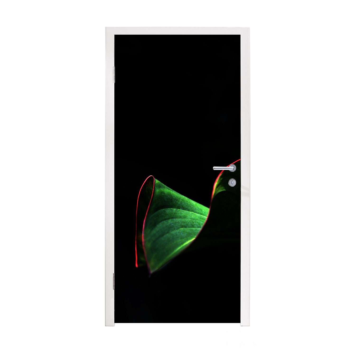 MuchoWow Türtapete Ein tropisches Blatt mit roten Rändern auf schwarzem Hintergrund, Matt, bedruckt, (1 St), Fototapete für Tür, Türaufkleber, 75x205 cm