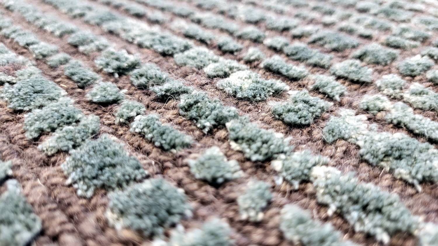 Rug Studios Teppich MANDOVI Check Box, Rechteckig, Höhe: 0 mm, Wohnzimmer, 40 x 60 cm, Türkis-Aqua