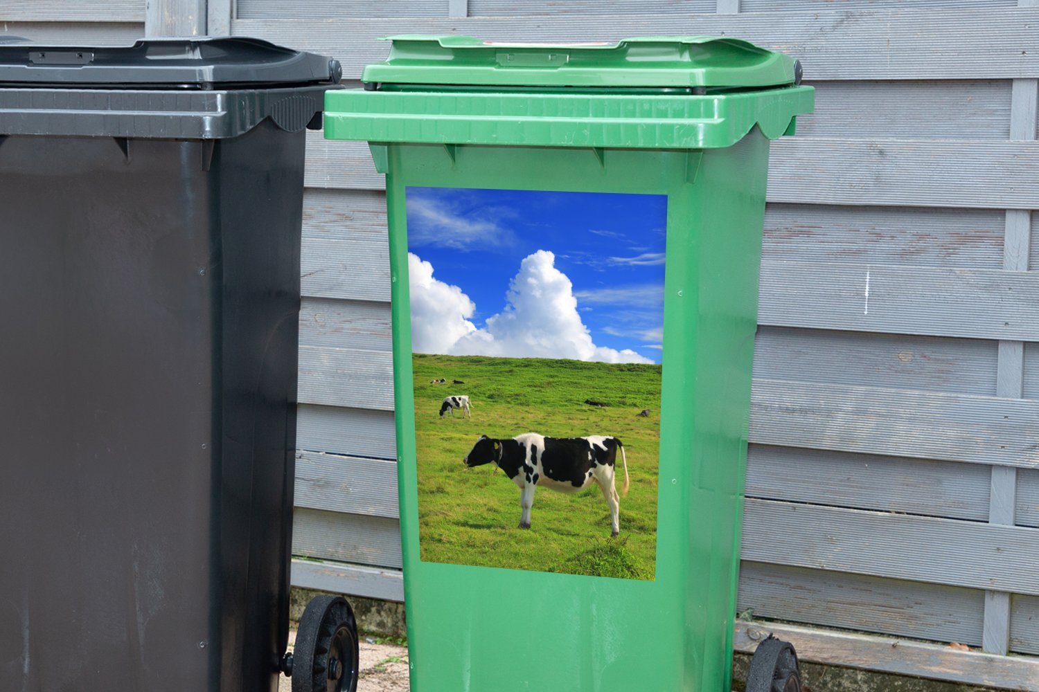 Container, Sticker, Mülltonne, Nutztiere (1 - Mülleimer-aufkleber, MuchoWow Wandsticker St), - Abfalbehälter Gras Kühe