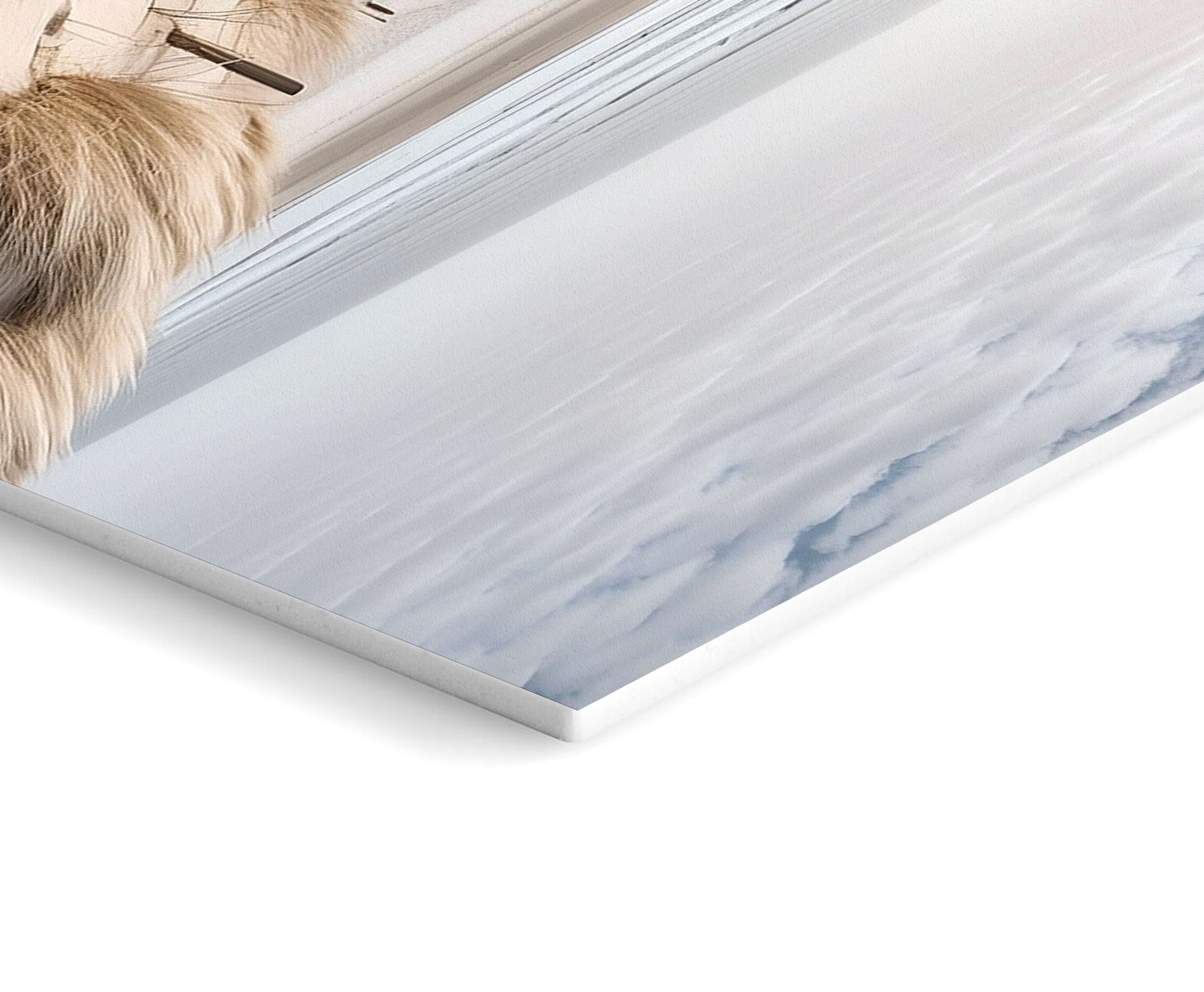 artissimo Mehrteilige Bilder Bilderset 3er-Set, Wandbilder-Set natur, Bilderwand, maritime Bilder, Strand und Meer: Nordsee-Strand mit Dünen