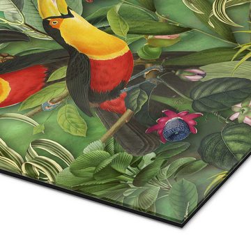 Posterlounge XXL-Wandbild Andrea Haase, Tucans im Dschungel, Illustration