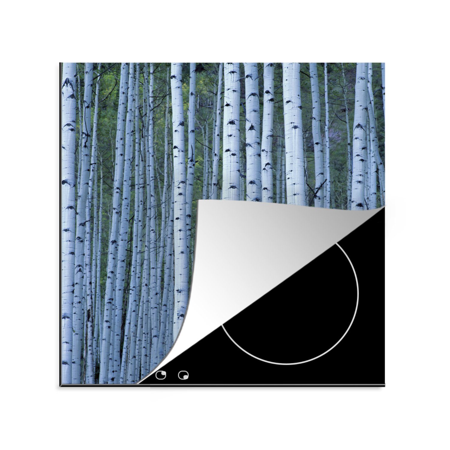 MuchoWow Herdblende-/Abdeckplatte Weiße Baumstämme, Vinyl, (1 tlg), 78x78 cm, Ceranfeldabdeckung, Arbeitsplatte für küche