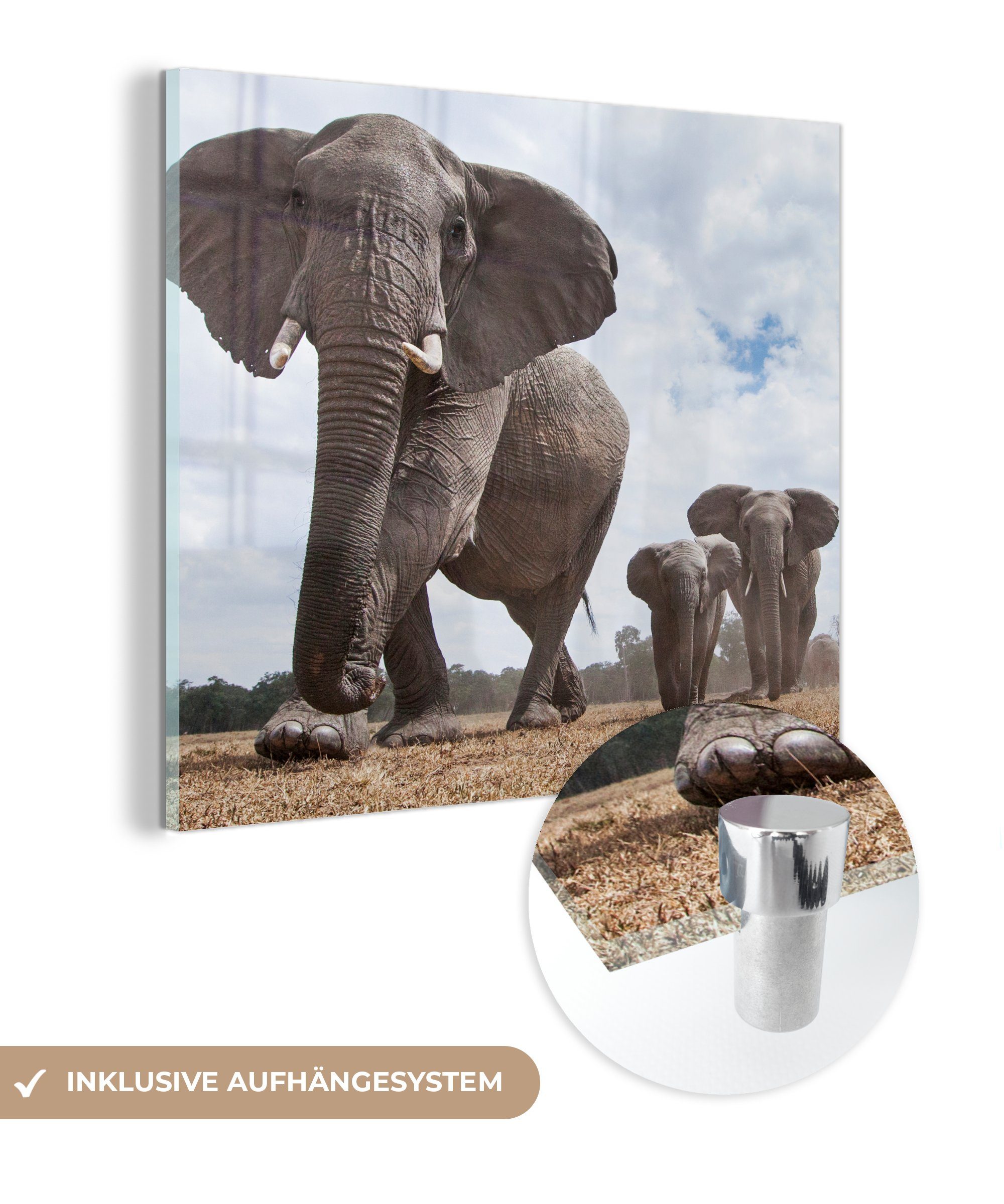 Glasbilder Elefant Flachland, - St), auf Wandbild - Wanddekoration - Tiere Bilder - Glas Foto Acrylglasbild MuchoWow Glas - (1 auf Natur -