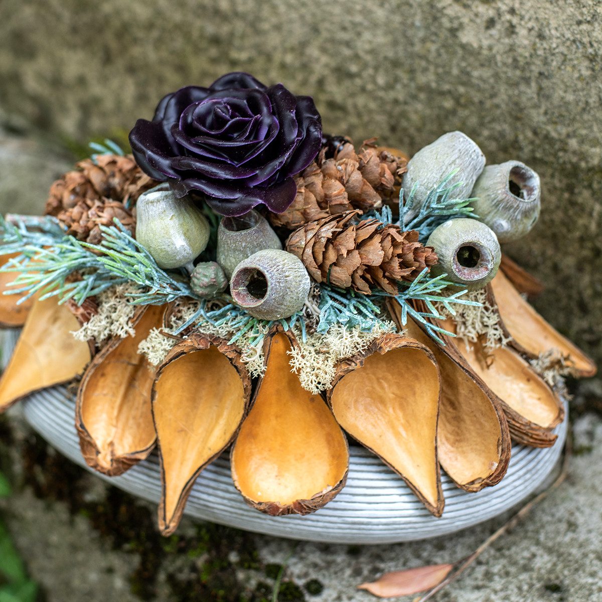 Trockenblume Natürliche Samenkapseln Deko Schoten Braun 50 St 9-12 cm, Vian günstig online kaufen