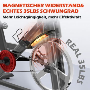 JOROTO Speedbike X1P (Heimtrainer Fahrrad, 15KG Schwungrad), Magnetbremse, 4- fach verstellbare Lenker und Sattel