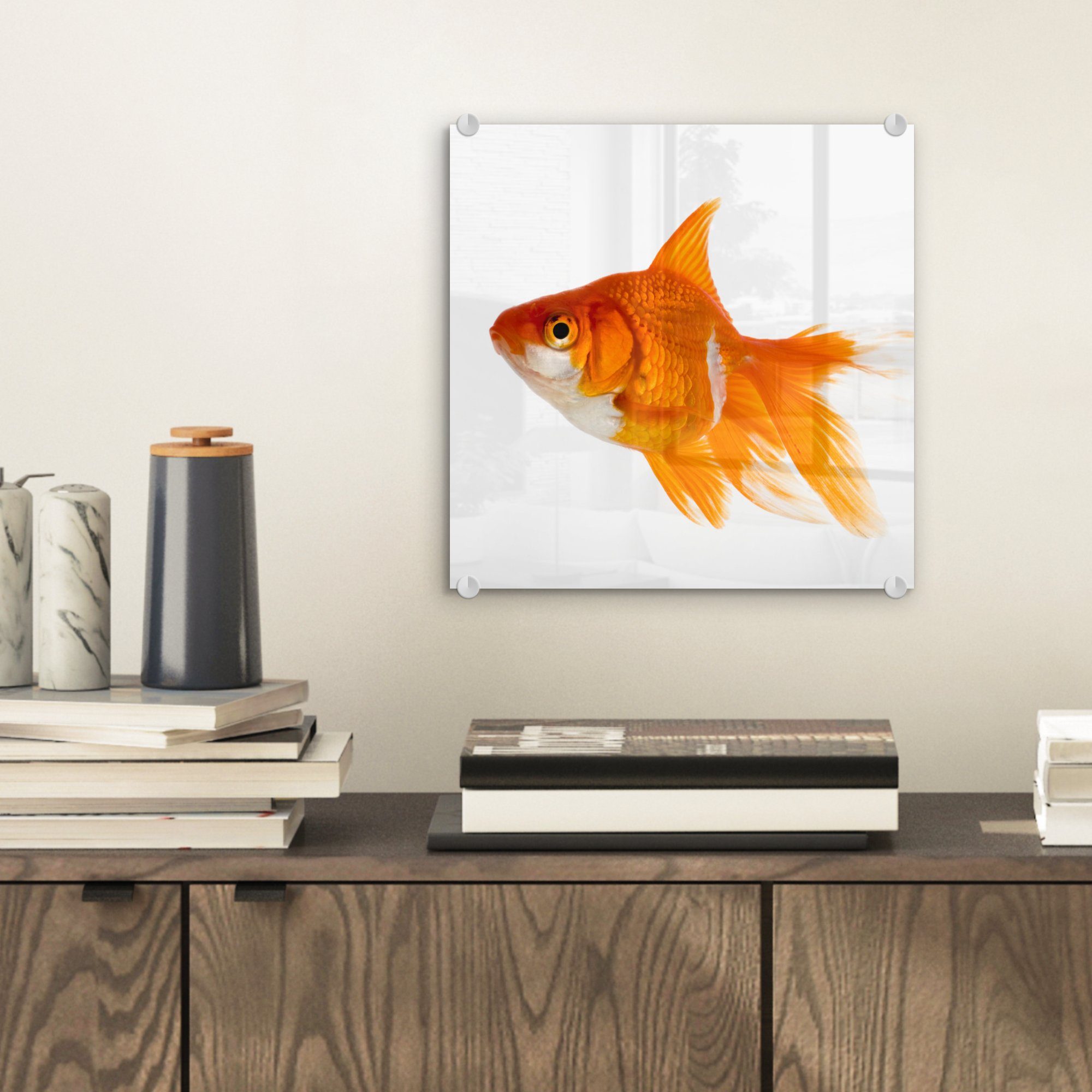 auf Goldfisch (1 - Acrylglasbild Wanddekoration - Bilder Foto - auf - Weiß, Fisch Glas Glas MuchoWow - St), Glasbilder Wandbild