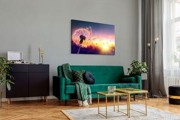 Sinus Art Leinwandbild 120x80cm Wandbild auf Leinwand Sonnenuntergang Abendröte Pusteblume Fo, (1 St)