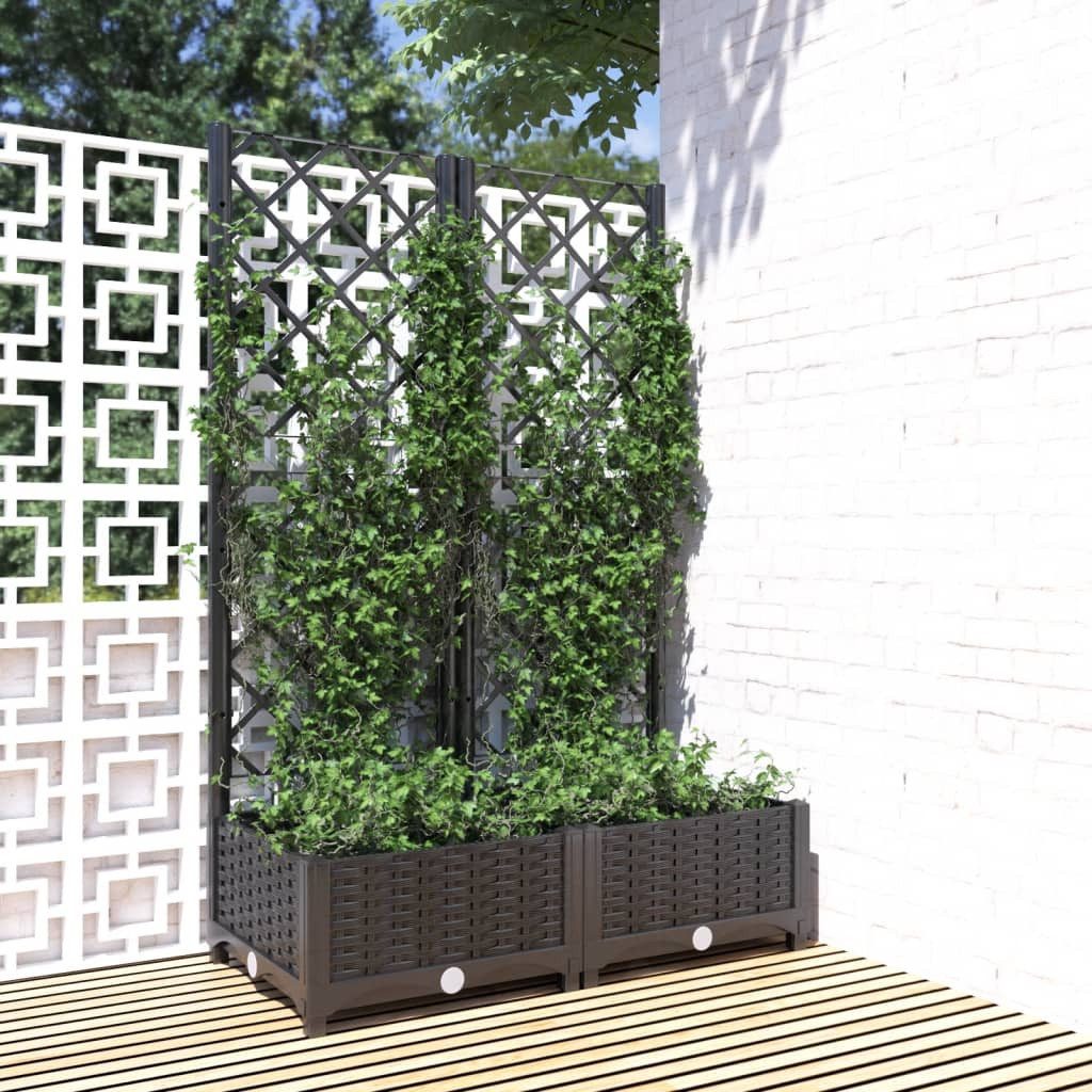 DOTMALL Pflanzkübel Pflanzkübel mit Rankgitter 80x40x121,5 günstig online kaufen