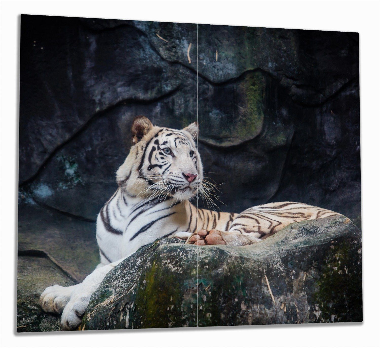 Wallario Herd-Abdeckplatte Weißer Tiger Größen Noppen), tlg., verschiedene auf 2 inkl. einem ESG-Sicherheitsglas, Felsen, 5mm (Glasplatte