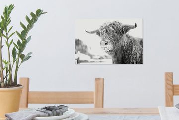 OneMillionCanvasses® Leinwandbild Ein schottischer Highlander im Schnee - schwarz und weiß, (1 St), Wandbild Leinwandbilder, Aufhängefertig, Wanddeko, 30x20 cm